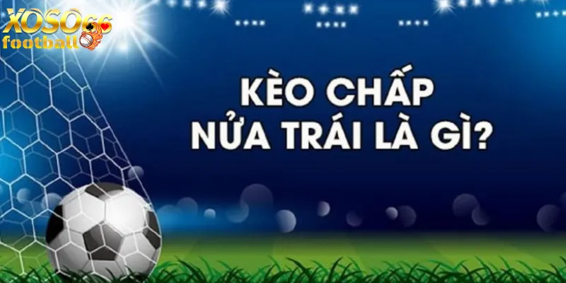 World Cup 2026 Khu Vực Nam Mỹ Cơ Hội Nào Cho Brazil?